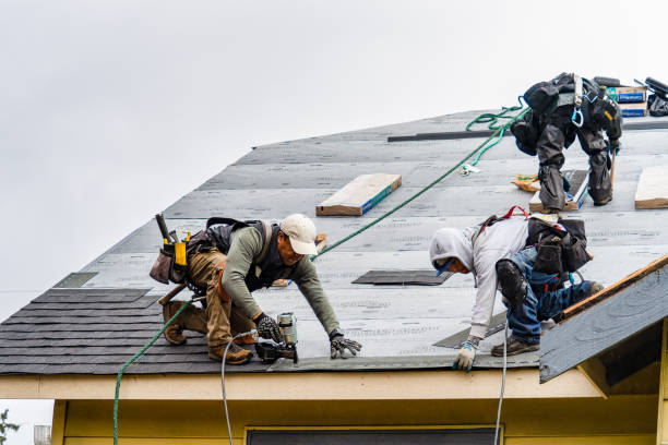 Professional Gutter Installation technician working in Youngsville, LA